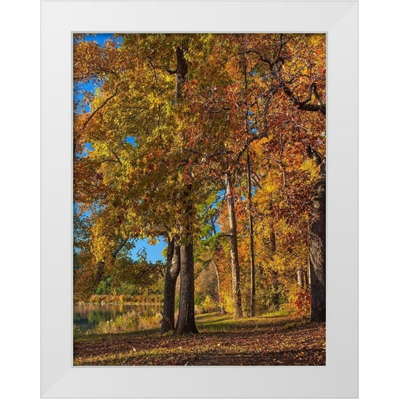 Fitzharris, Tim 25x32 White Modern Wood Framed Museum Art Print Titled - Tyler Lake State Park-Texas