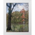 thumbnail image 1 of Fitzharris, Tim 25x32 White Modern Wood Framed Museum Art Print Titled - White River-White River National Wildlife Refuge-Arkansas, 1 of 4