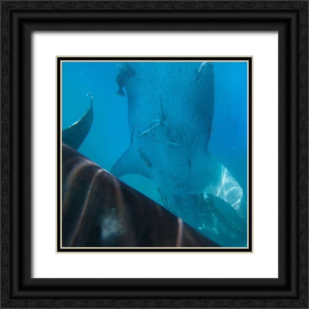 Fitzharris, Tim 26x26 Black Ornate Wood Framed with Double Matting ...