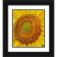 thumbnail image 1 of Fitzharris, Tim 26x30 Black Ornate Wood Framed with Double Matting Museum Art Print Titled - Sunflowers, 1 of 4