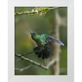 thumbnail image 1 of Fitzharris, Tim 26x32 White Modern Wood Framed Museum Art Print Titled - Green Crowned Brilliant Hummingbird, 1 of 4