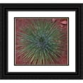 thumbnail image 1 of Fitzharris, Tim 29x26 Black Ornate Wood Framed with Double Matting Museum Art Print Titled - Narrow Leaf Agave, 1 of 4