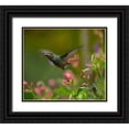 thumbnail image 1 of Fitzharris, Tim 29x26 Black Ornate Wood Framed with Double Matting Museum Art Print Titled - Rufous Tailed Hummingbird, 1 of 4