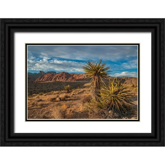 Fitzharris, Tim 32x23 Black Ornate Wood Framed with Double Matting Museum Art Print Titled - Red Rock Canyon National Conservation Area near Las Vegas-Nevada