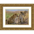 thumbnail image 1 of Fitzharris, Tim 32x23 Gold Ornate Wood Framed with Double Matting Museum Art Print Titled - African Lion cubs, 1 of 4