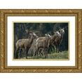 thumbnail image 1 of Fitzharris, Tim 32x23 Gold Ornate Wood Framed with Double Matting Museum Art Print Titled - Bighorn Sheep, 1 of 4