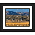 thumbnail image 1 of Fitzharris, Tim 32x25 Black Ornate Wood Framed with Double Matting Museum Art Print Titled - Snow Geese and Sandhill Cranes-Bosque del Apache National Wildlife Refuge-New Mexico, 1 of 4