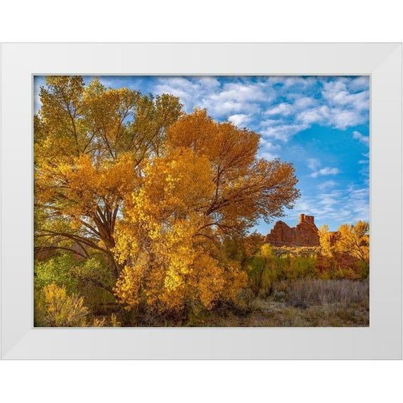 Fitzharris, Tim 32x25 White Modern Wood Framed Museum Art Print Titled - Courthouse Towers from Courthouse Wash-Arches National Park-Utah
