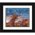 thumbnail image 1 of Fitzharris, Tim 32x26 Black Ornate Wood Framed with Double Matting Museum Art Print Titled - Red Rock Canyon National Conservation Area near Las Vegas-Nevada, 1 of 4