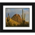 thumbnail image 1 of Fitzharris, Tim 32x26 Black Ornate Wood Framed with Double Matting Museum Art Print Titled - Tucson Mountains-Saguaro National Park-Arizona, 1 of 4