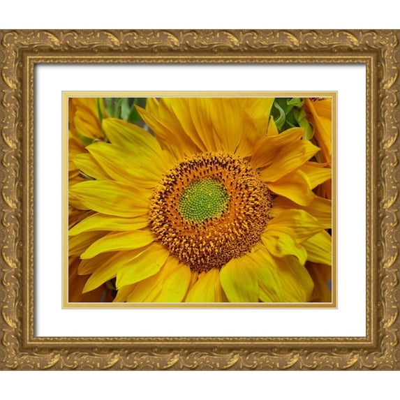 Fitzharris, Tim 32x26 Gold Ornate Wood Framed with Double Matting Museum Art Print Titled - Sunflowers