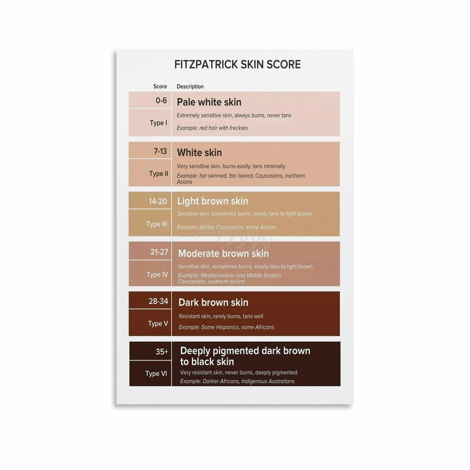 Fitzpatricks Scale Skin Color Classification Chart Poster 9 Canvas ...