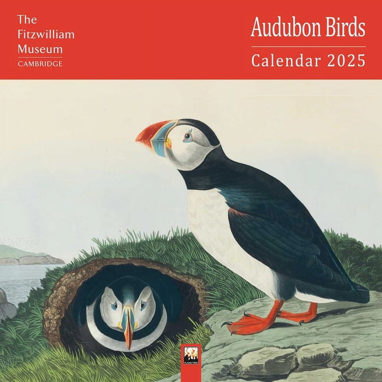 Flame Tree Publishing, Fitzwilliam Audubon Birds 2025 Wall Calendar ...