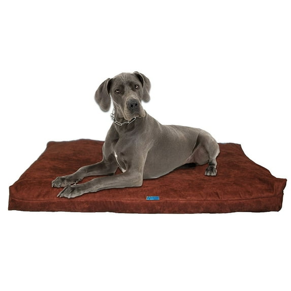 Five Diamond Collection Shredded Memory Foam Orthopedic Dog Bed, Removable Washable Cover, Double Sided, Made In USA