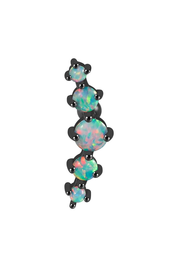 Five Ear Tragus Cartilage Daith Piercing Studs Earrings Stainless Steel Tragus Earlobe Piercing Jewelry