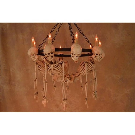 Five Harvey Jr. Skeleton Torsos on Metal Ring