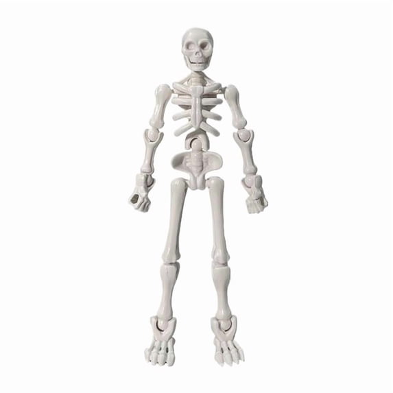 Five Inch DIY Skeleton Assembly Toy Movable Articulated Human Figure Perfect for Halloween Decoration and Creative Playtime