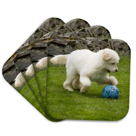 3drose, Five Month Old Goldendoodle Running in the Backyard., Set of 4 Coasters - Soft