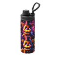 Five Nights At Freddy's 18 Oz Water Bottle Insulated Stainless Steel