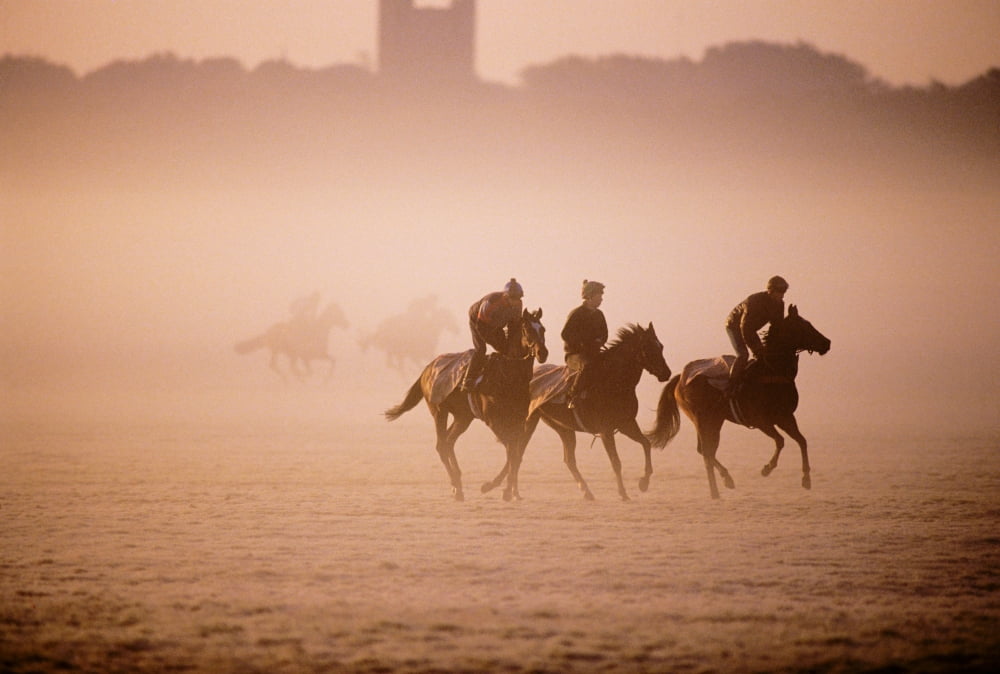 Five People Riding Thoroughbred Horses In A Field Curragh County Kildare Republic Of Ireland Canvas Art - The Irish Image Collection Design Pics (36 x 24)