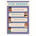 thumbnail image 1 of Five Sense Diagram - Sensory System Chart - Visual Learning Tool - Science Education, 1 of 2