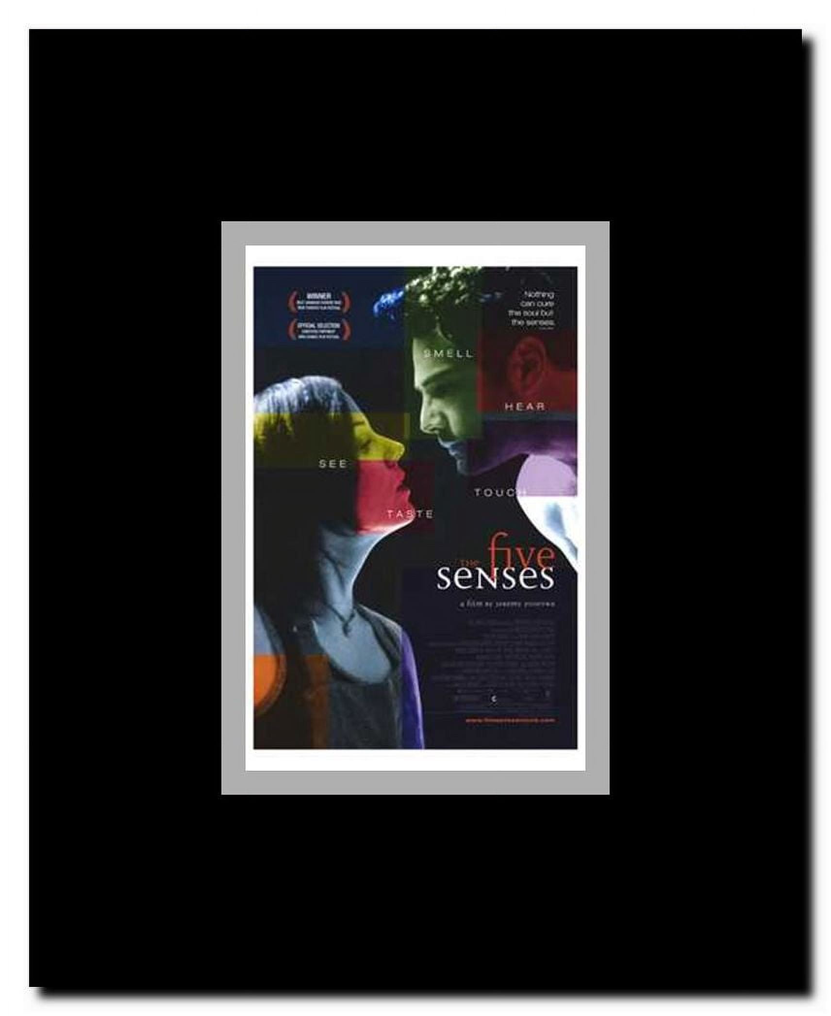 Five Senses Framed Movie Poster