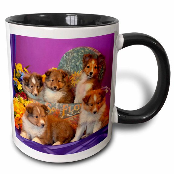 3drose, Five Shetland Sheepdog Puppies in and Out of a Hat Box, Mr,, 15oz Two-tone Black Mug