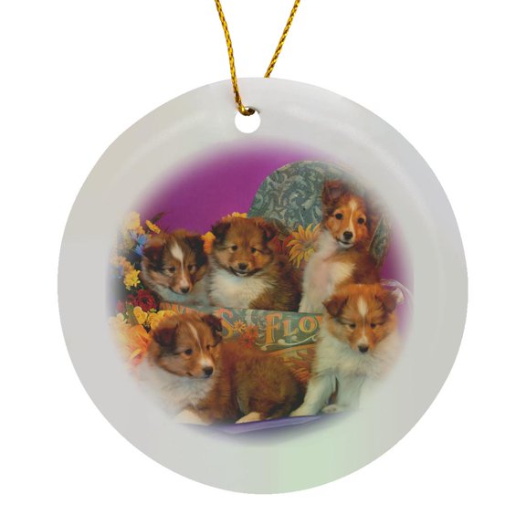 3drose, Five Shetland Sheepdog Puppies in and Out of a Hat Box, Mr,, Circle Porcelain Ornament
