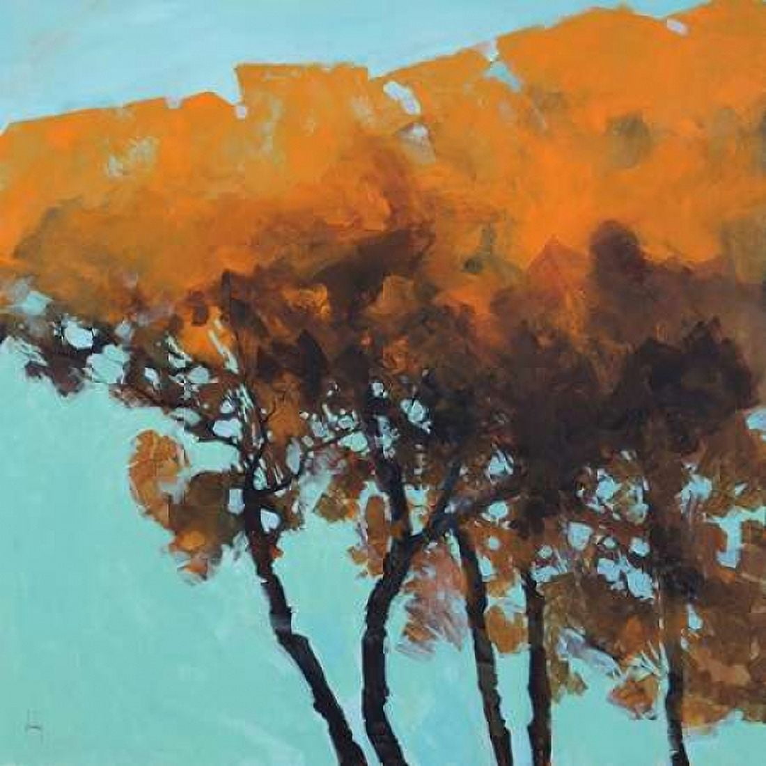 Five Trees Canvas Art - Paul Bailey (24 x 24)