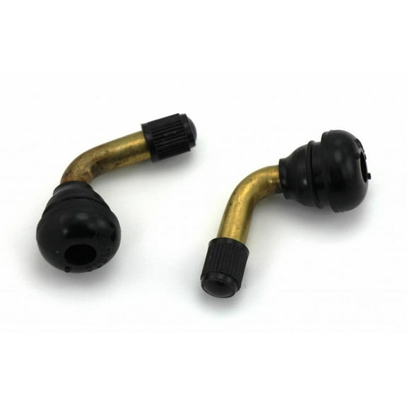Fixrightpro Tubeless Tire Valve Stem fits ATVs, 2-Count