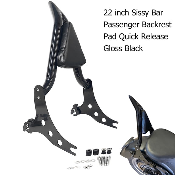 Fjpacemt Detachable Backrest Sissy Bar for Motorcycle Harley Fat Boy Lo Cross Bone Night Train 06-17