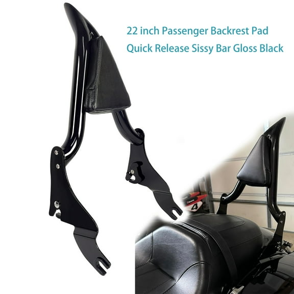 Fjpacemt Detachable Sissy Bar Backrest for Motorcycle Harley Road King Street Glide Touring 2009-24