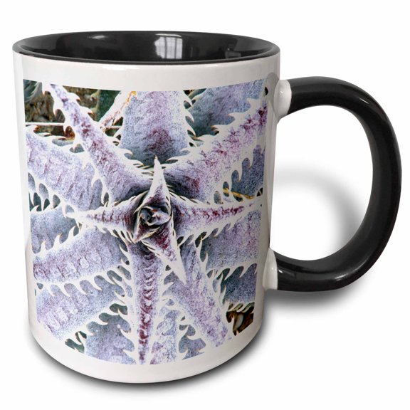 3drose, Fl, Naples Botanical Garden, Silver Dyckia Succulent - Us10 Rti0059 - Rob Tilley, 11oz Two-tone Black Mug