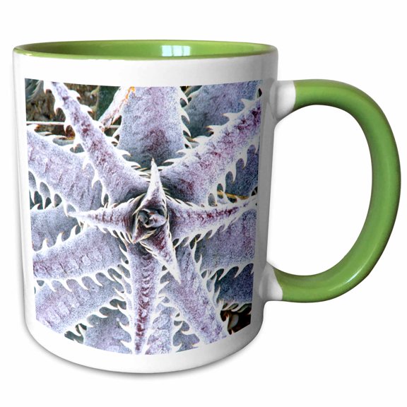 3drose, Fl, Naples Botanical Garden, Silver Dyckia Succulent - Us10 Rti0059 - Rob Tilley, 11oz Two-tone Green Mug