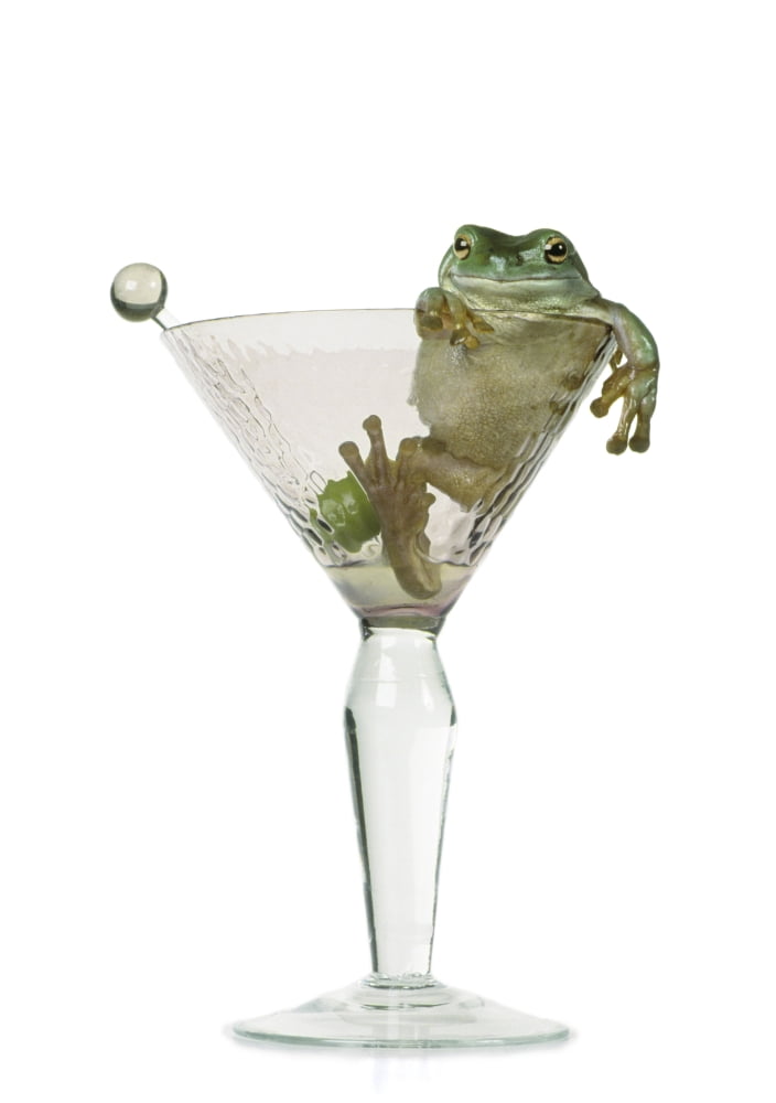 Fl6423 Natural Moments Photography Drunken Frog In Empty Martini Glass Canvas Art - Darwin Wiggett Design Pics (11 x 16)