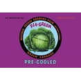 thumbnail image 1 of Fla-Green Green Cabbage-Fine Art Canvas Print (20" x 30"), 1 of 1