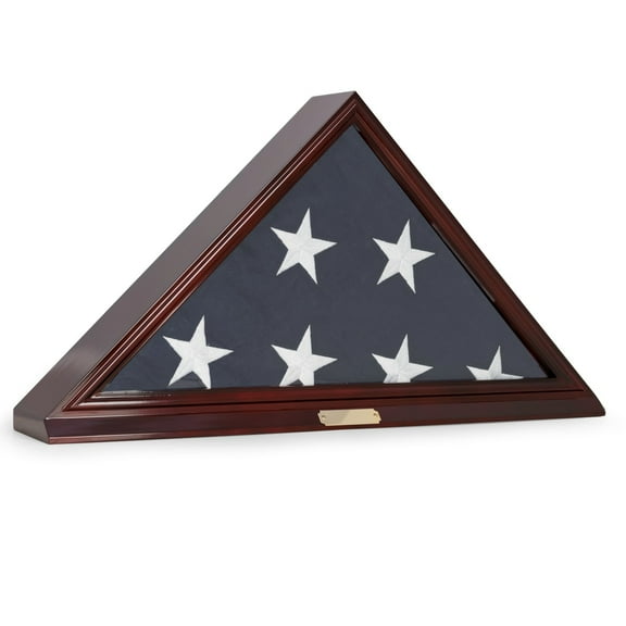 Flag Display Case for Memorial 5'x9.5" Flag, Wall Mountable.
