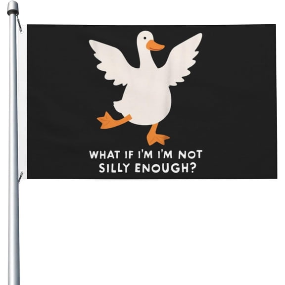 Flag Double Sided Novelty Flags For Party 3x5 Ft, What If I'M Not Silly Enough Goose Tapestry For Classroom