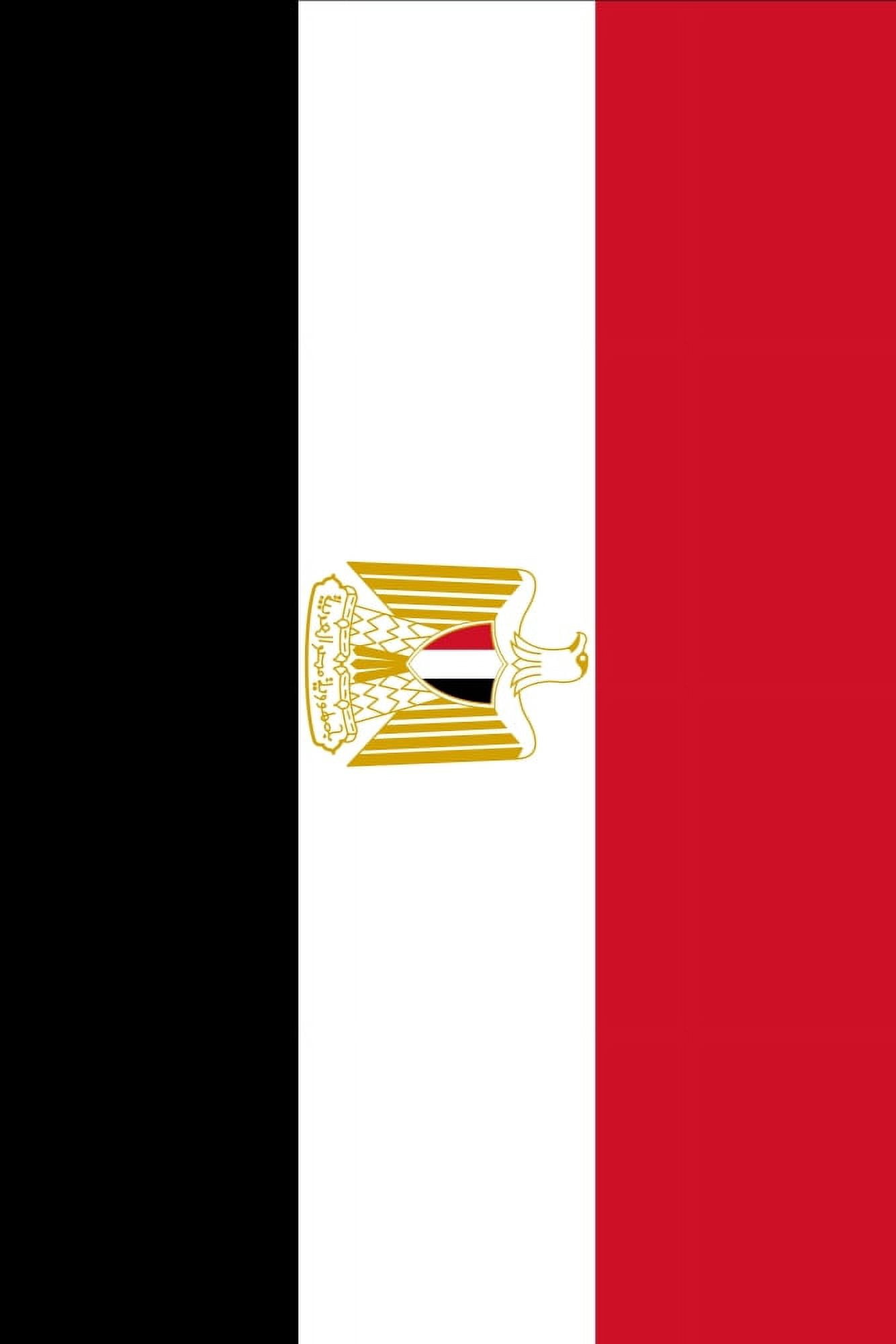 Flag current Egyptian Canvas Art - (18 x 24)