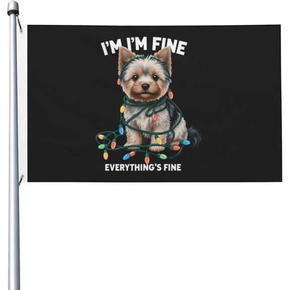 Flag for Room Teen Double Sided Vintage Flags for Boys Room 3x5 Ft, i'm fine everything's fine Tapestry for Office