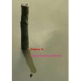 thumbnail image 1 of Flag of Permanent Defeat (Paperback), 1 of 1
