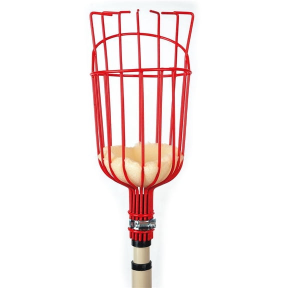 Flagline Fruit Picker Basket Tool with Telescoping Handle for Easy and Safe Tree Fruit Orchard Crop Harvesting, 9 ft