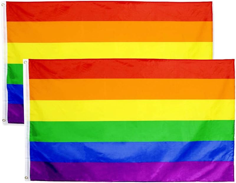 Flaglink Ominisexuelle Pride-Flagge – 91 X 152 Cm, Polyester, UV-beständig, Mit Ösen