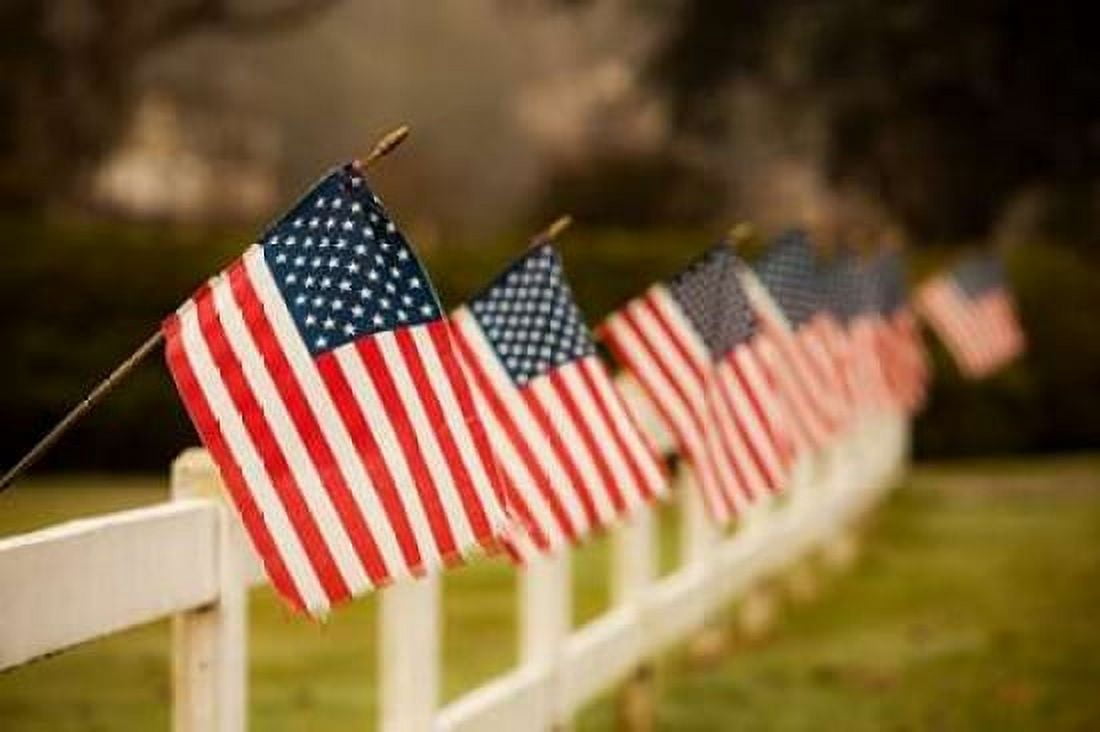 Flags I Canvas Art - Philip Clayton-Thompson (24 x 36)