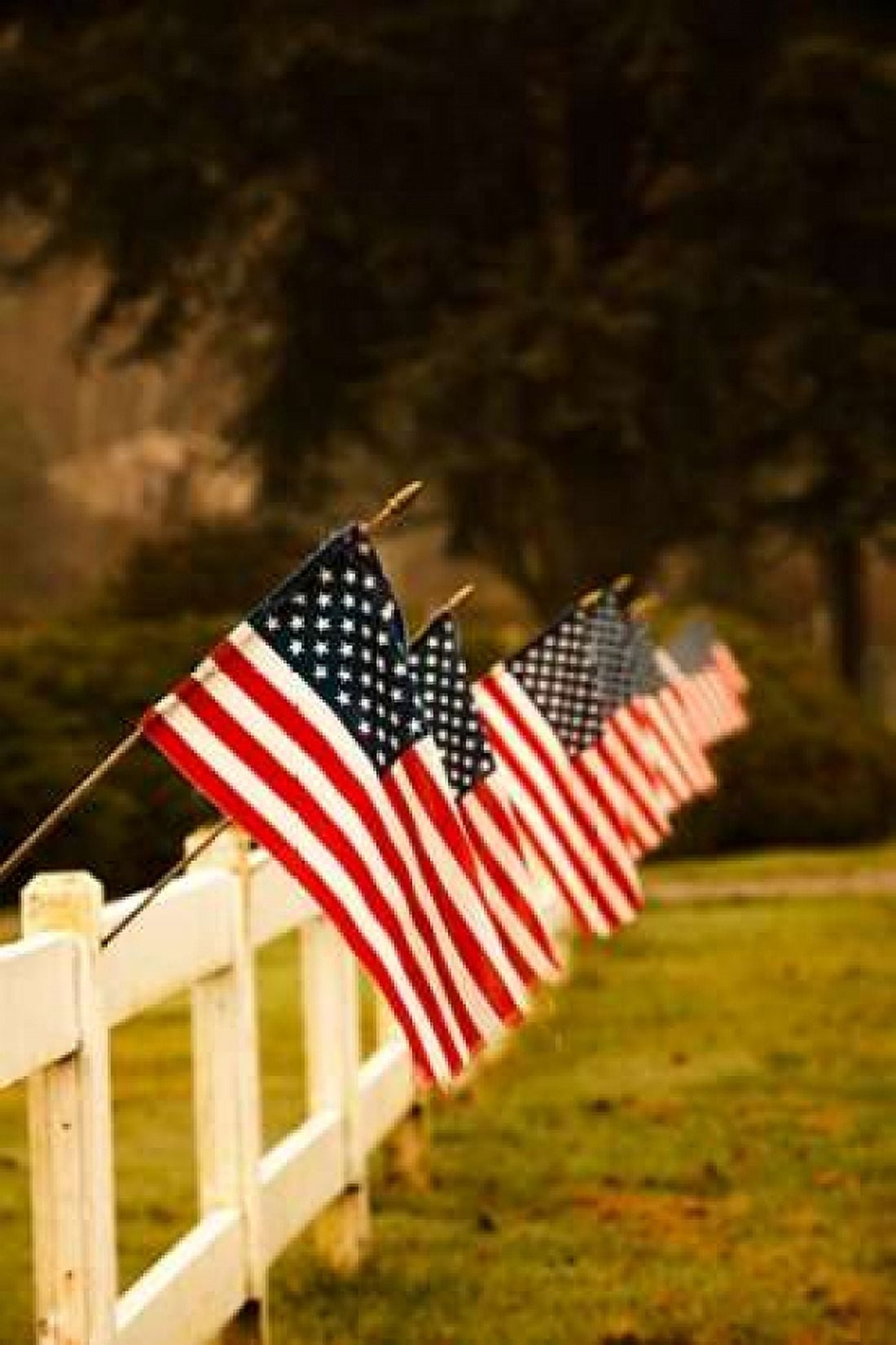 Flags II Canvas Art - Philip Clayton-Thompson (24 x 36)