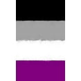 thumbnail image 1 of Flags of the World: Asexual Pride Flag Journal (Hardcover), 1 of 1