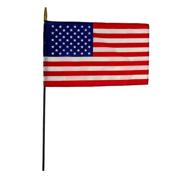 Flagzone FZ-1048274 12 x 18 in. Nylon US Classroom Flag
