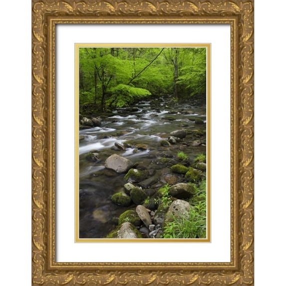 Flaherty, Dennis 11x14 Gold Ornate Wood Framed with Double Matting Museum Art Print Titled - TN, Great Smoky Mts Mountain stream and trees