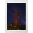 thumbnail image 1 of Flaherty, Dennis 11x14 White Modern Wood Framed Museum Art Print Titled - CA, White Mts A bristlecone pine and Milky Way, 1 of 4