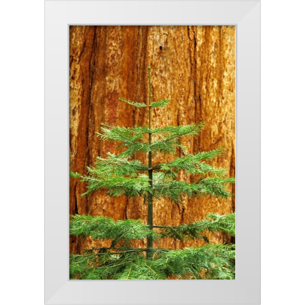 Flaherty, Dennis 11x14 White Modern Wood Framed Museum Art Print Titled ...